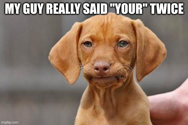 Dissapointed puppy | MY GUY REALLY SAID "YOUR" TWICE | image tagged in dissapointed puppy | made w/ Imgflip meme maker