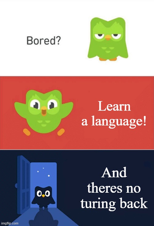 So what you gonna do? | Learn a language! And theres no turing back | image tagged in duolingo bored 3-panel | made w/ Imgflip meme maker