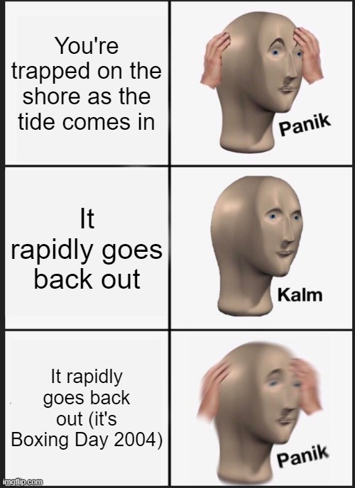 Tsunami | You're trapped on the shore as the tide comes in; It rapidly goes back out; It rapidly goes back out (it's Boxing Day 2004) | image tagged in memes,panik kalm panik,trigger,warning | made w/ Imgflip meme maker