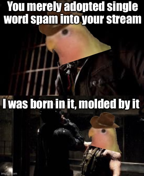 You Merely Adopted X I Was Born In It,Molded By It Extended | You merely adopted single word spam into your stream I was born in it, molded by it | image tagged in you merely adopted x i was born in it molded by it extended | made w/ Imgflip meme maker