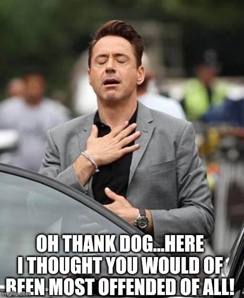 Robert Downy Jr | OH THANK DOG...HERE I THOUGHT YOU WOULD OF BEEN MOST OFFENDED OF ALL! | image tagged in robert downy jr | made w/ Imgflip meme maker