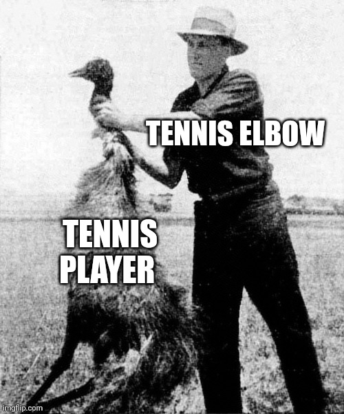 Tennis elbow is about to wrestle with tennis player | TENNIS ELBOW; TENNIS PLAYER | image tagged in great emu war | made w/ Imgflip meme maker