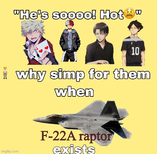 why simp for them when x exists | F-22A raptor | image tagged in why simp for them when x exists,funny memes,f22,fighter jet,ace combat | made w/ Imgflip meme maker