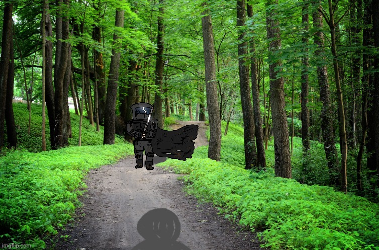 They've found Phantom. | image tagged in dark forest | made w/ Imgflip meme maker