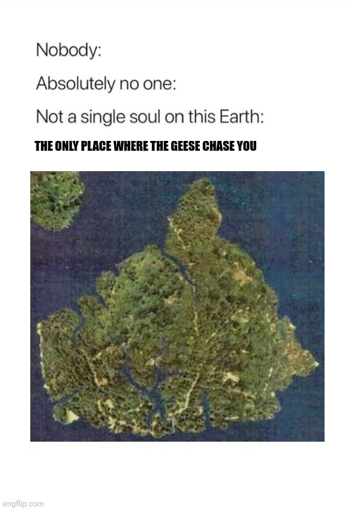 The only place where the geese chase you | THE ONLY PLACE WHERE THE GEESE CHASE YOU | image tagged in jurassic park,jurassicparkfan102504,jpfan102504 | made w/ Imgflip meme maker