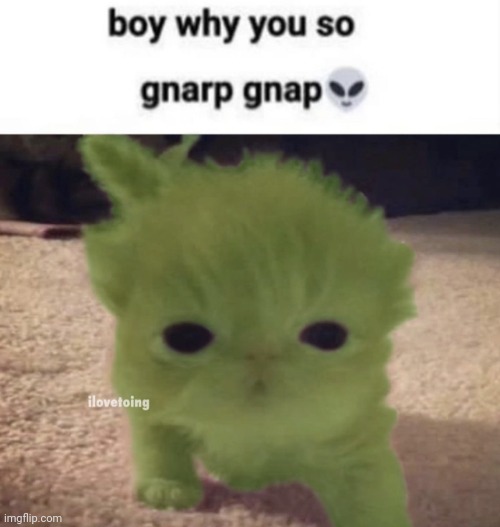 image tagged in why u so gnarp gnap | made w/ Imgflip meme maker