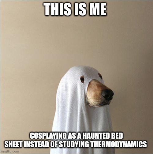 No one wants to study thermodynamics when they could cosplay as a haunted bed sheet | THIS IS ME; COSPLAYING AS A HAUNTED BED SHEET INSTEAD OF STUDYING THERMODYNAMICS | image tagged in ghost doge | made w/ Imgflip meme maker
