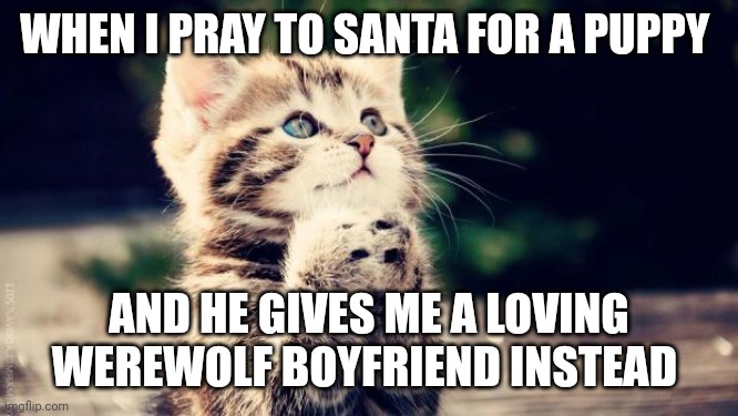 Better than a puppy | WHEN I PRAY TO SANTA FOR A PUPPY; AND HE GIVES ME A LOVING WEREWOLF BOYFRIEND INSTEAD | image tagged in praying cat | made w/ Imgflip meme maker