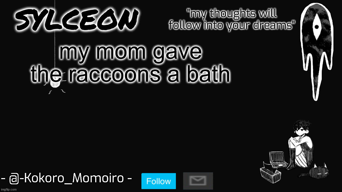 blackspace. | my mom gave the raccoons a bath | image tagged in blackspace | made w/ Imgflip meme maker