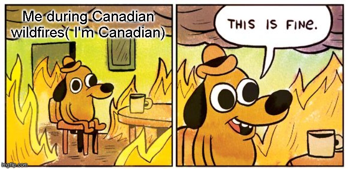 this is so perfectly and absolutely normally fine. | Me during Canadian wildfires( I'm Canadian) | image tagged in memes,this is fine,funny,fun,relatable,wildfires | made w/ Imgflip meme maker