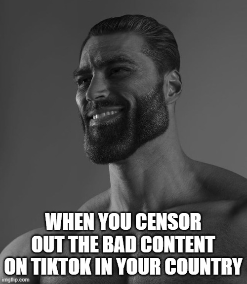 Giga Chad | WHEN YOU CENSOR OUT THE BAD CONTENT ON TIKTOK IN YOUR COUNTRY | image tagged in giga chad | made w/ Imgflip meme maker