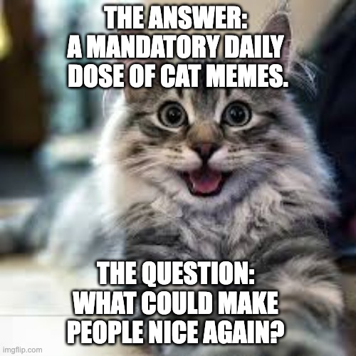 MANDATORY CAT MEMES | THE ANSWER: 
A MANDATORY DAILY 
DOSE OF CAT MEMES. THE QUESTION: 
WHAT COULD MAKE 
PEOPLE NICE AGAIN? | image tagged in happy cat | made w/ Imgflip meme maker