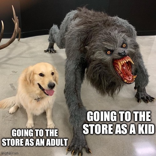 Good dog scary dog | GOING TO THE STORE AS AN ADULT; GOING TO THE STORE AS A KID | image tagged in good dog scary dog | made w/ Imgflip meme maker