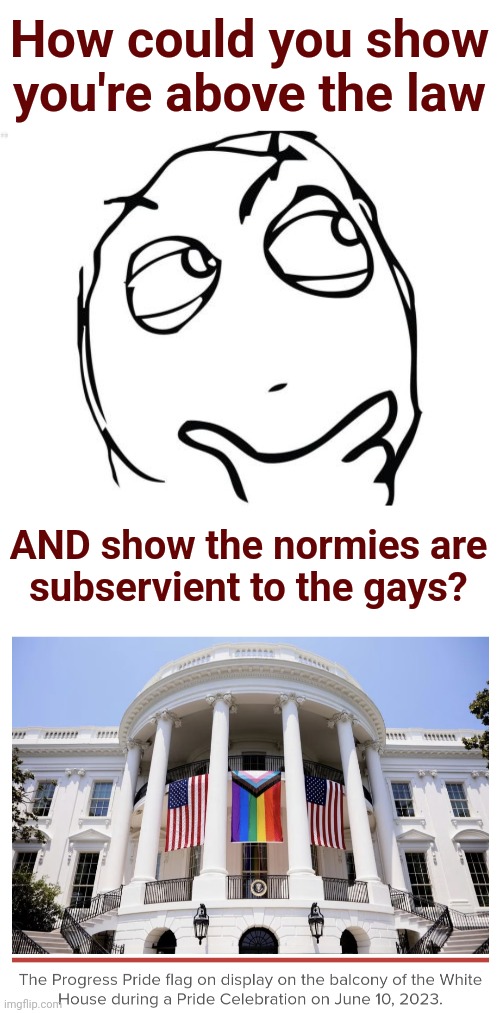 Typical democrat middle finger to America | How could you show you're above the law; AND show the normies are
subservient to the gays? | image tagged in memes,question rage face,democrats,gay pride,us flag,joe biden | made w/ Imgflip meme maker