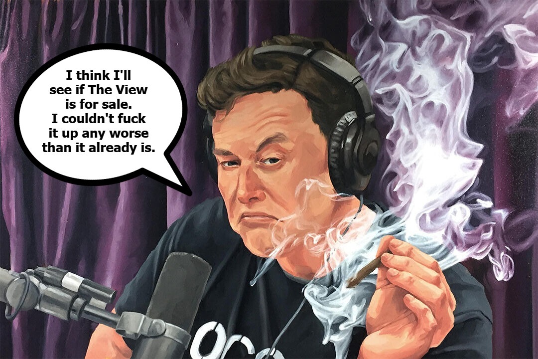 Elon musk on the view imgflip