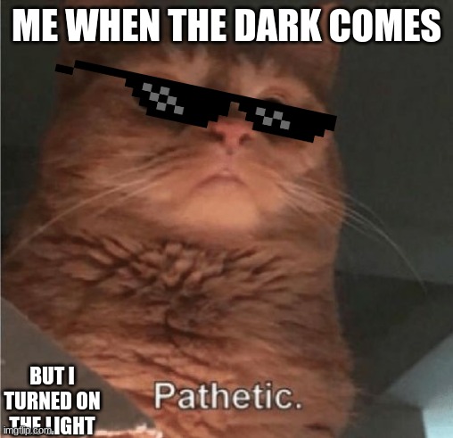 ME WHEN THE DARK COMES BUT I TURNED ON THE LIGHT | image tagged in pathetic cat | made w/ Imgflip meme maker