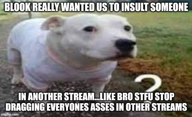 Dog question mark | BLOOK REALLY WANTED US TO INSULT SOMEONE; IN ANOTHER STREAM...LIKE BRO STFU STOP DRAGGING EVERYONES ASSES IN OTHER STREAMS | image tagged in dog question mark | made w/ Imgflip meme maker