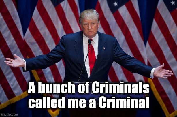 Donald Trump | A bunch of Criminals called me a Criminal | image tagged in donald trump | made w/ Imgflip meme maker