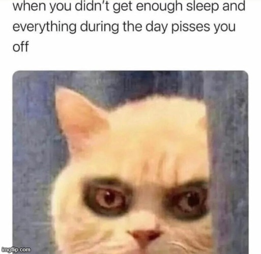 That was me just this morning XD | image tagged in repost | made w/ Imgflip meme maker