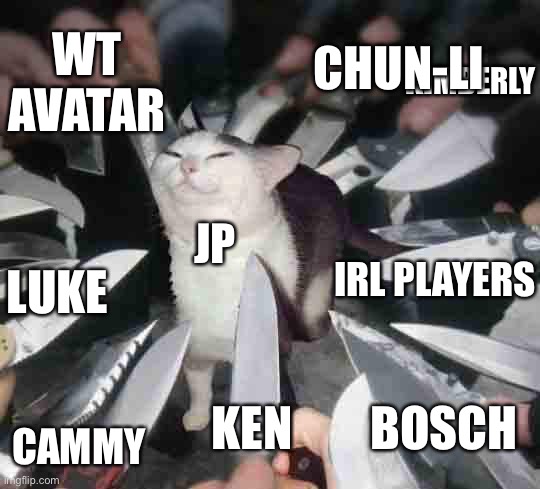 Knife Cat | WT AVATAR; CHUN-LI; KIMBERLY; IRL PLAYERS; JP; LUKE; CAMMY; BOSCH; KEN | image tagged in knife cat,StreetFighter | made w/ Imgflip meme maker