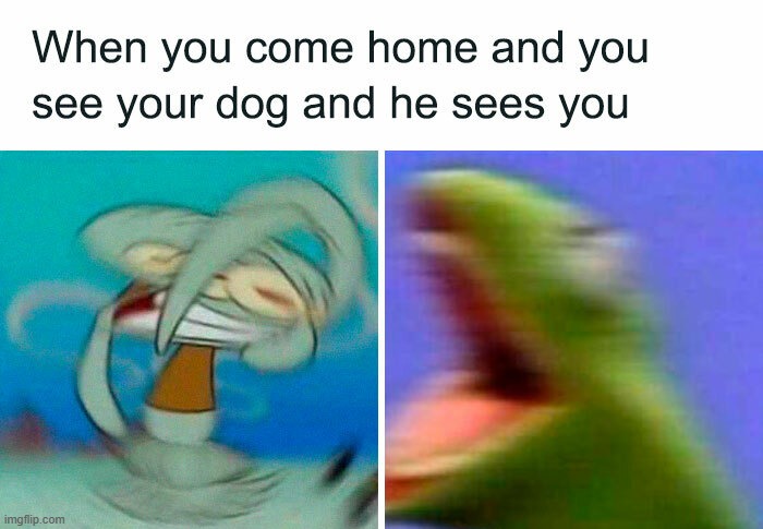 *Hype dog sounds* | made w/ Imgflip meme maker