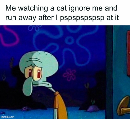 That's the exact opposite thing that we wanted the cat to do ;-; | image tagged in memes | made w/ Imgflip meme maker