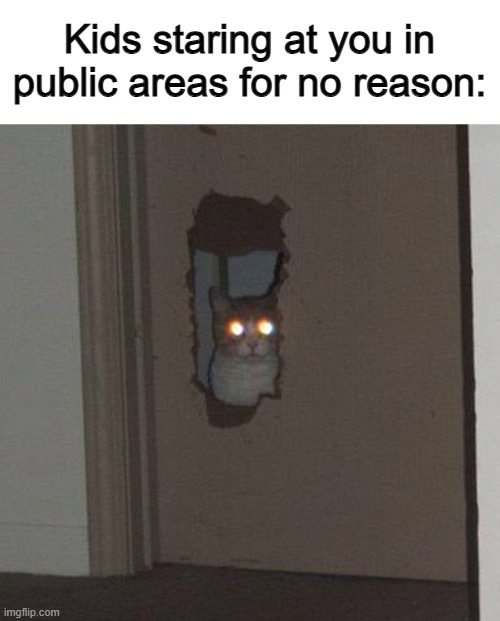 I wish they could all stop :/ it's so awkward ;-; | Kids staring at you in public areas for no reason: | image tagged in cat staring through the door | made w/ Imgflip meme maker