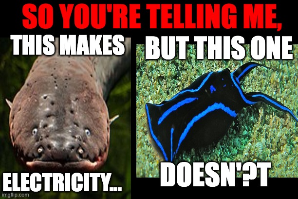 Nature... | SO YOU'RE TELLING ME, BUT THIS ONE; THIS MAKES; DOESN'?T; ELECTRICITY... | image tagged in funny memes | made w/ Imgflip meme maker