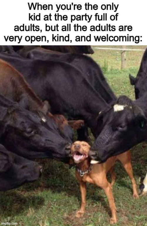 This happened during a Thanksgiving party, and it was nice :D | When you're the only kid at the party full of adults, but all the adults are very open, kind, and welcoming: | made w/ Imgflip meme maker