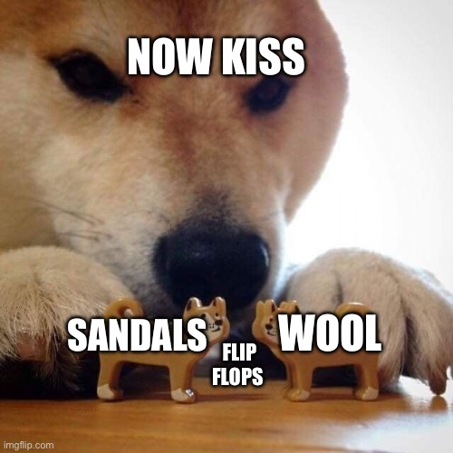 How slippers were made | NOW KISS; WOOL; FLIP FLOPS; SANDALS | image tagged in now kiss doge,shoes,slippers | made w/ Imgflip meme maker