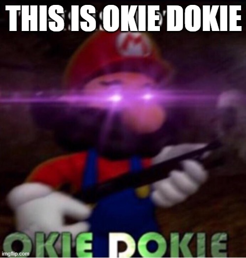 THIS IS NOT O K I E   D O K I E | THIS IS OKIE DOKIE | image tagged in this is not o k i e d o k i e | made w/ Imgflip meme maker