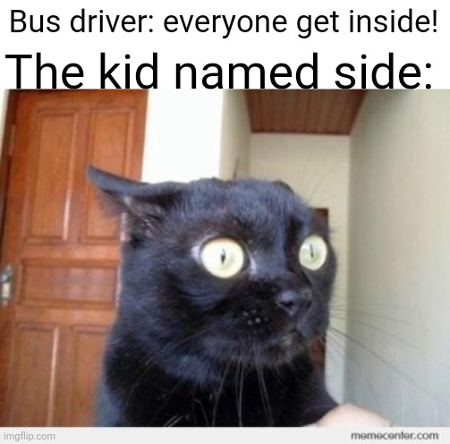 Someone about to get some.... | Bus driver: everyone get inside! The kid named side: | image tagged in scared cat,bus driver,kids,inside,funny,scared kid | made w/ Imgflip meme maker