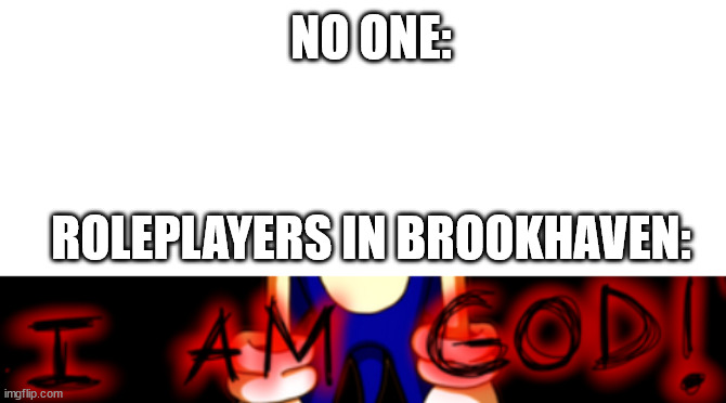 brookhaven be like: | NO ONE:; ROLEPLAYERS IN BROOKHAVEN: | image tagged in blank white template | made w/ Imgflip meme maker
