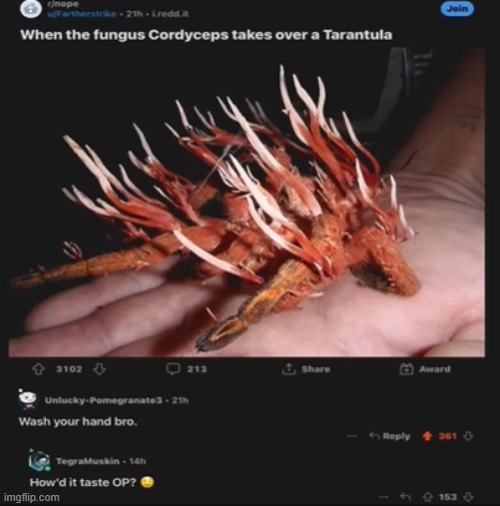 Is his taste buds alright? (Can I get mod btw?) | made w/ Imgflip meme maker