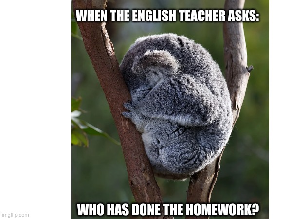 When the English teacher asks | WHEN THE ENGLISH TEACHER ASKS:; WHO HAS DONE THE HOMEWORK? | image tagged in homework | made w/ Imgflip meme maker