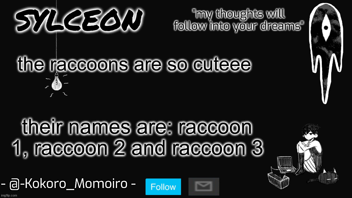 blackspace. | the raccoons are so cuteee; their names are: raccoon 1, raccoon 2 and raccoon 3 | image tagged in blackspace | made w/ Imgflip meme maker