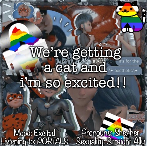 His name is gonna be Teddy!! | We’re getting a cat and i’m so excited!! Mood: Excited
Listening to: PORTALS; Pronouns: She/her
Sexuality: Straight Ally | image tagged in mimithesomething s template page,cat | made w/ Imgflip meme maker