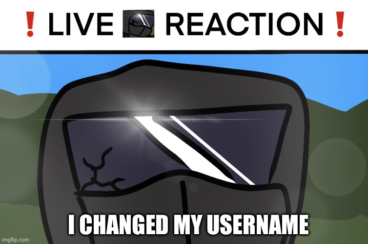 you’re still referring to me as nugget | I CHANGED MY USERNAME | image tagged in live phantom reaction | made w/ Imgflip meme maker