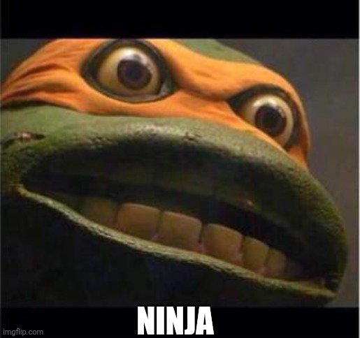teen age mutant ninja turtle | NINJA | image tagged in teen age mutant ninja turtle | made w/ Imgflip meme maker