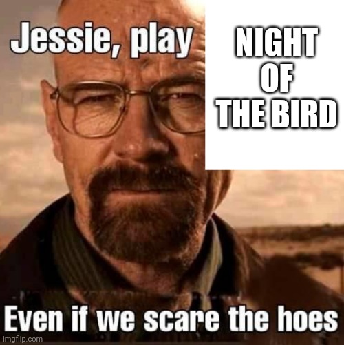 Jesse play X even if we scare the hoes | NIGHT OF THE BIRD | image tagged in jesse play x even if we scare the hoes | made w/ Imgflip meme maker