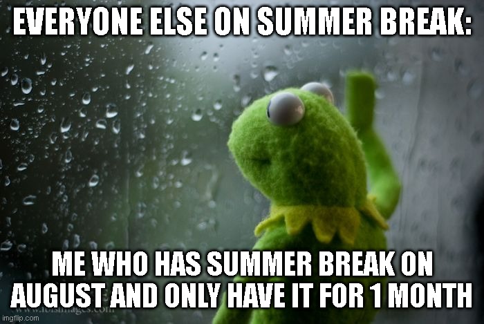 Its not because of summer school | EVERYONE ELSE ON SUMMER BREAK:; ME WHO HAS SUMMER BREAK ON AUGUST AND ONLY HAVE IT FOR 1 MONTH | image tagged in kermit window | made w/ Imgflip meme maker