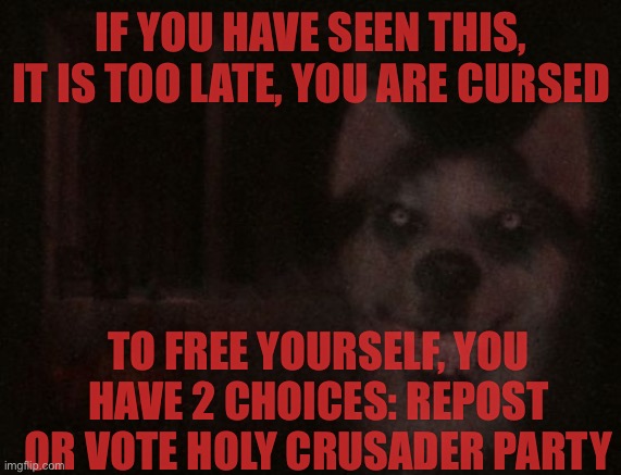 The smile.dog commands me to spread the word | IF YOU HAVE SEEN THIS, IT IS TOO LATE, YOU ARE CURSED; TO FREE YOURSELF, YOU HAVE 2 CHOICES: REPOST OR VOTE HOLY CRUSADER PARTY | image tagged in smile dog | made w/ Imgflip meme maker