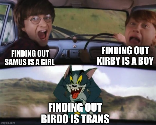 Tom chasing Harry and Ron Weasly | FINDING OUT KIRBY IS A BOY; FINDING OUT SAMUS IS A GIRL; FINDING OUT BIRDO IS TRANS | image tagged in tom chasing harry and ron weasly,samus,kirby,harry potter,tom and jerry | made w/ Imgflip meme maker