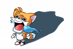 High Quality tails chopper cry Blank Meme Template
