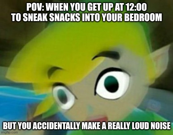 Panicking link | POV: WHEN YOU GET UP AT 12:00 TO SNEAK SNACKS INTO YOUR BEDROOM; BUT YOU ACCIDENTALLY MAKE A REALLY LOUD NOISE | image tagged in panicking link | made w/ Imgflip meme maker