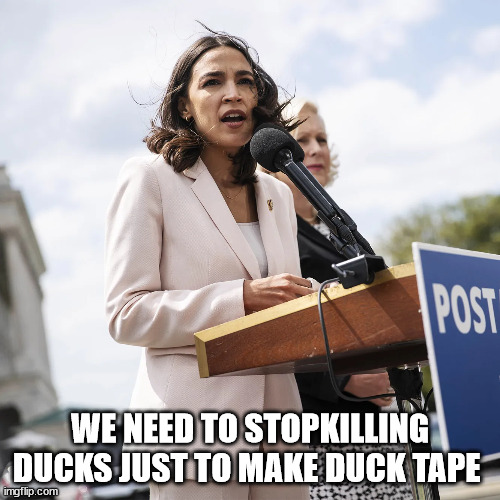 WE NEED TO STOPKILLING DUCKS JUST TO MAKE DUCK TAPE | made w/ Imgflip meme maker