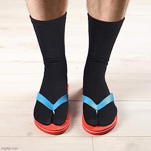 upvote if you think wearing flip flops with socks is a crime | image tagged in begging for upvotes | made w/ Imgflip meme maker