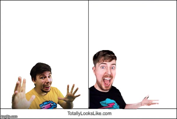 MRBEAST!!! | image tagged in totally looks like | made w/ Imgflip meme maker