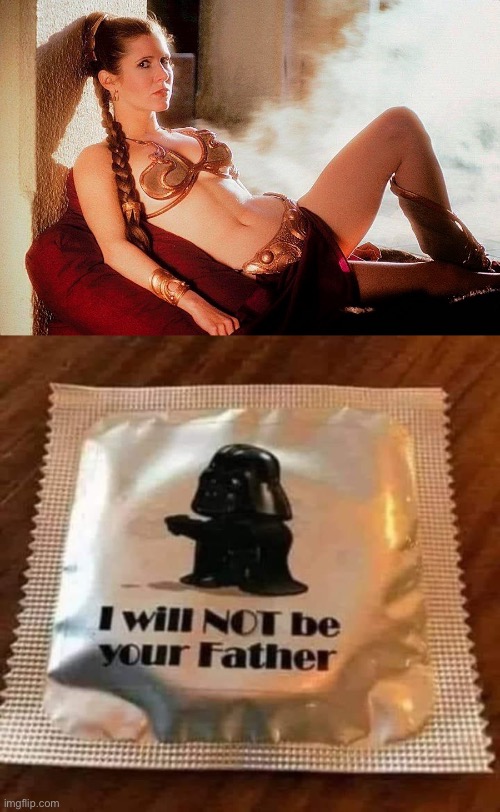 Not the Father | image tagged in leia bikini,darth vader,father,fatherless | made w/ Imgflip meme maker