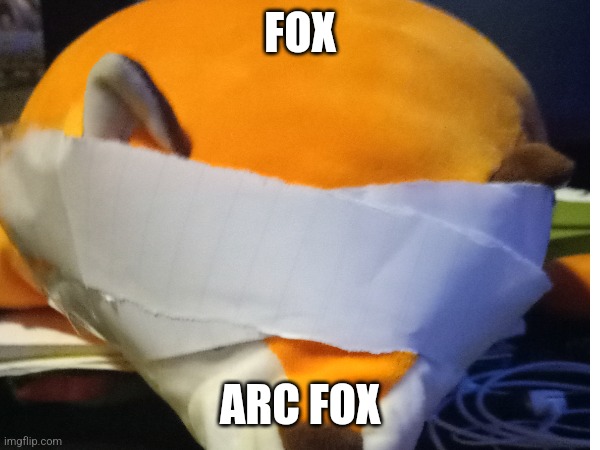 Arc fox | FOX; ARC FOX | image tagged in fox | made w/ Imgflip meme maker